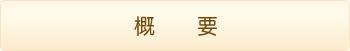 概要