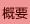 概要