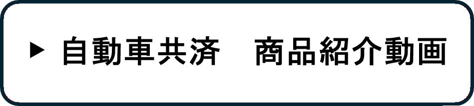 商品紹介動画