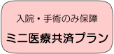 入院・手術のみ保障ミニ医療共済プラン